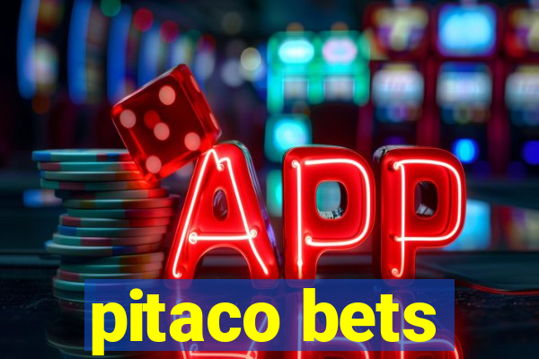 pitaco bets